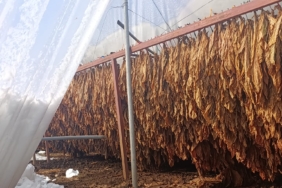 WhatsApp Image 2026-01-02 at 11.53.46 (1)