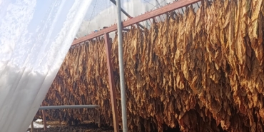 WhatsApp Image 2026-01-02 at 11.53.46 (1)