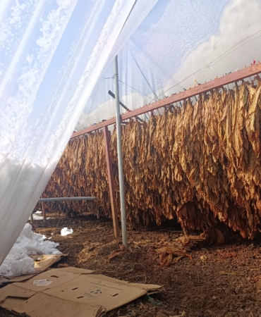 WhatsApp Image 2026-01-02 at 11.53.46 (1)