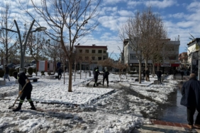 WhatsApp Image 2026-01-02 at 14.11.42