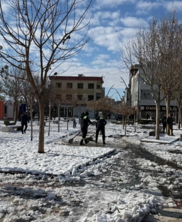 WhatsApp Image 2026-01-02 at 14.11.42