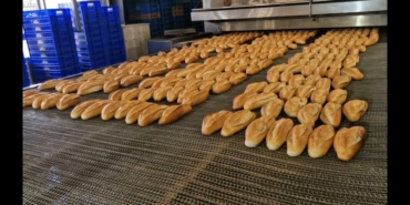 WhatsApp Image 2026-01-09 at 13.50.36