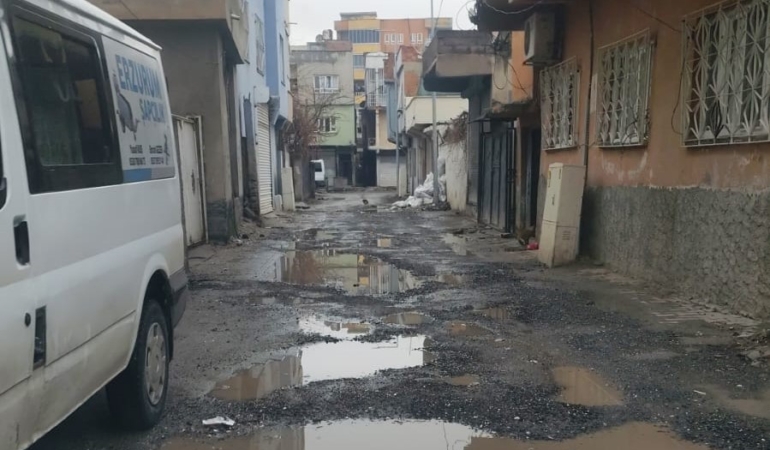 WhatsApp Image 2026-01-14 at 10.28.21