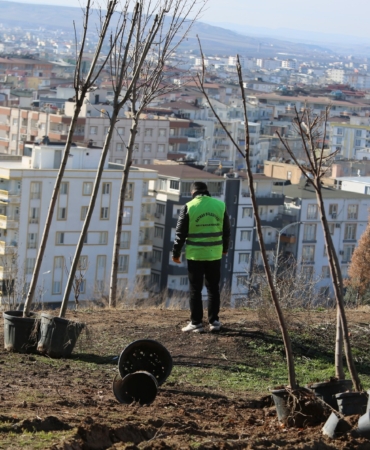 WhatsApp Image 2026-01-16 at 09.14.31