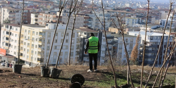 Batman – Esentepe’de ağaçlandırma çalışması başladı