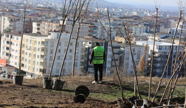 WhatsApp Image 2026-01-16 at 09.14.31