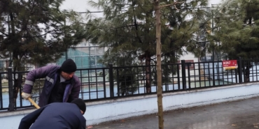 WhatsApp Image 2026-01-19 at 13.32.14 (1)