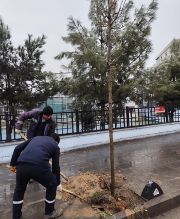 WhatsApp Image 2026-01-19 at 13.32.14 (1)