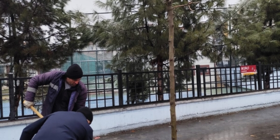 Batman – Park ve Bahçeler Müdürlüğü’nden ağaç dikim hamlesi