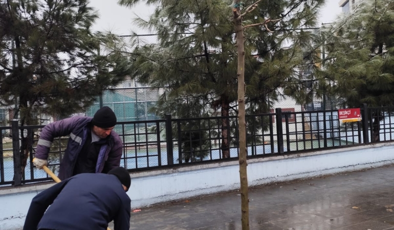 WhatsApp Image 2026-01-19 at 13.32.14 (1)