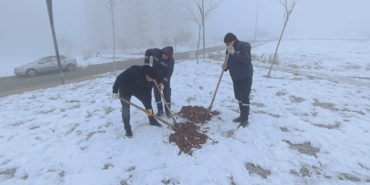 WhatsApp Image 2026-01-27 at 10.34.54