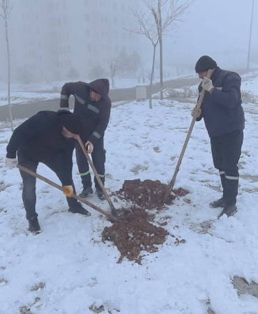 WhatsApp Image 2026-01-27 at 10.34.54