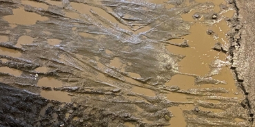 WhatsApp Image 2026-01-31 at 00.27.41 (2)