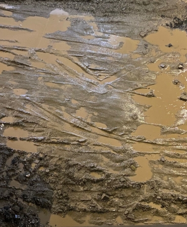 WhatsApp Image 2026-01-31 at 00.27.41 (2)