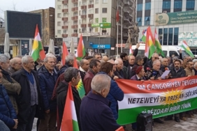 Ekran görüntüsü 2026-02-13 154633