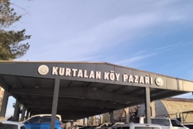 WhatsApp Image 2026-02-05 at 10.05.49