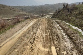 WhatsApp Image 2026-02-05 at 10.15.16 (1)