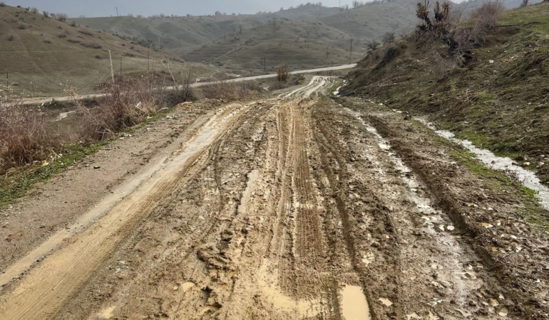 WhatsApp Image 2026-02-05 at 10.15.16 (1)