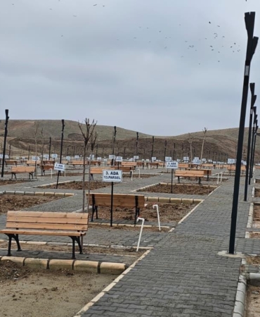 WhatsApp Image 2026-02-06 at 12.53.20