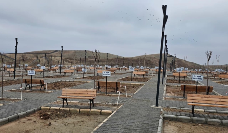 WhatsApp Image 2026-02-06 at 12.53.20