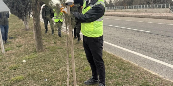 Batman’da yeşil kuşak projesi fidanları için kış bakımı başlatıldı