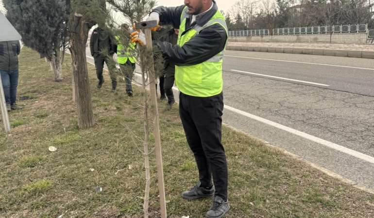 WhatsApp Image 2026-02-10 at 14.12.13