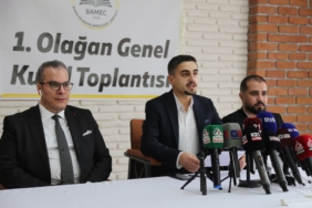 WhatsApp Image 2026-02-12 at 16.45.19