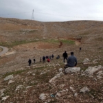 Batman mutfağında ot yemekleri thumbnail