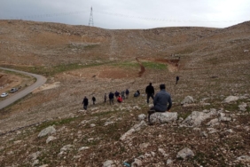 WhatsApp Image 2026-02-17 at 15.48.17