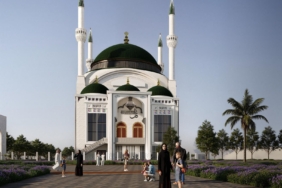 WhatsApp Image 2026-02-20 at 14.59.52