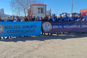 WhatsApp Image 2026-02-20 at 16.16.53