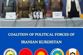 WhatsApp Image 2026-02-23 at 13.20.54