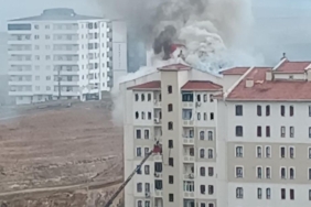 WhatsApp Image 2026-02-27 at 11.50.32