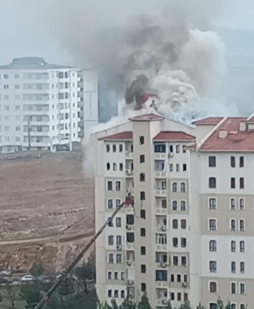 WhatsApp Image 2026-02-27 at 11.50.32