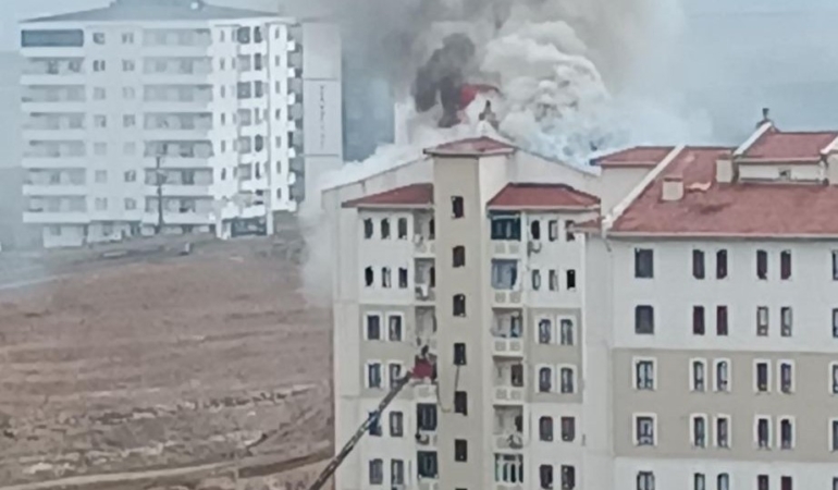 WhatsApp Image 2026-02-27 at 11.50.32