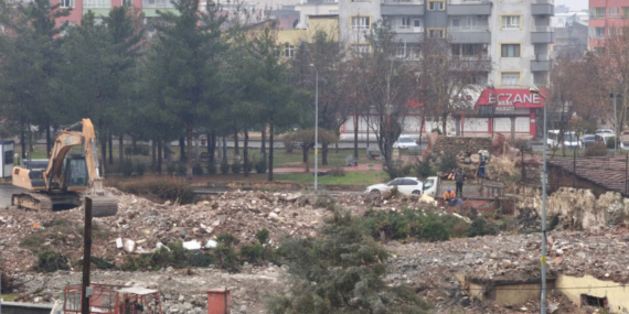 Timoqlular Derneği’nden Batman’daki ağaç kesimlerine sert eleştiri