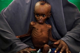 thumbs_b_c_73075fc41dd0d2f4febbb6aa9f9cb7c7