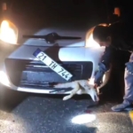 Ekran görüntüsü 2026-03-09 122522