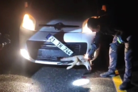 Ekran görüntüsü 2026-03-09 122522