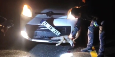 Ekran görüntüsü 2026-03-09 122522