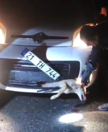 Ekran görüntüsü 2026-03-09 122522