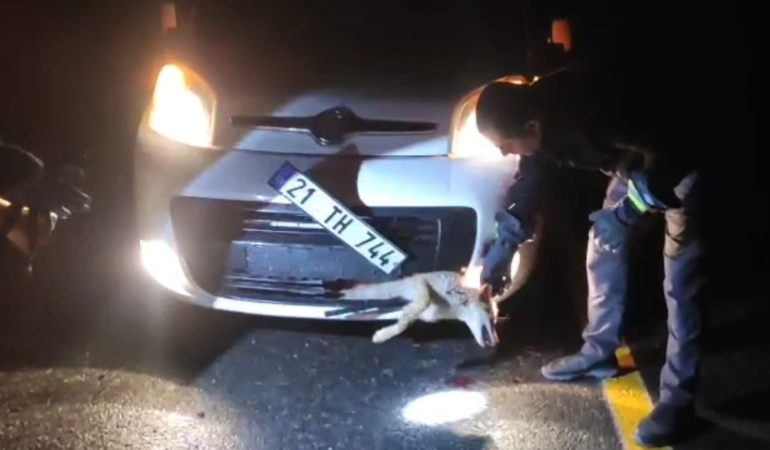 Ekran görüntüsü 2026-03-09 122522