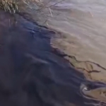 Batman'da Yeşil Sol Parti'den CHP uyarısı thumbnail