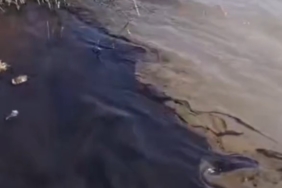 Ekran görüntüsü 2026-03-16 114702