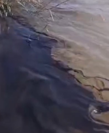 Ekran görüntüsü 2026-03-16 114702