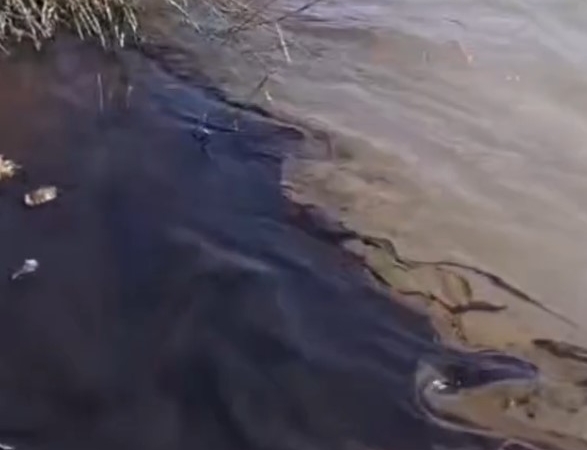 Ekran görüntüsü 2026-03-16 114702