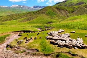 Ekran görüntüsü 2026-03-17 122952