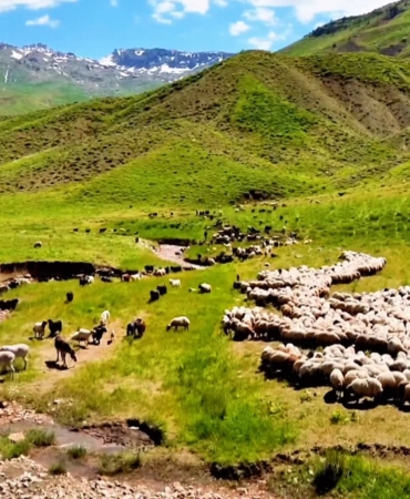 Ekran görüntüsü 2026-03-17 122952