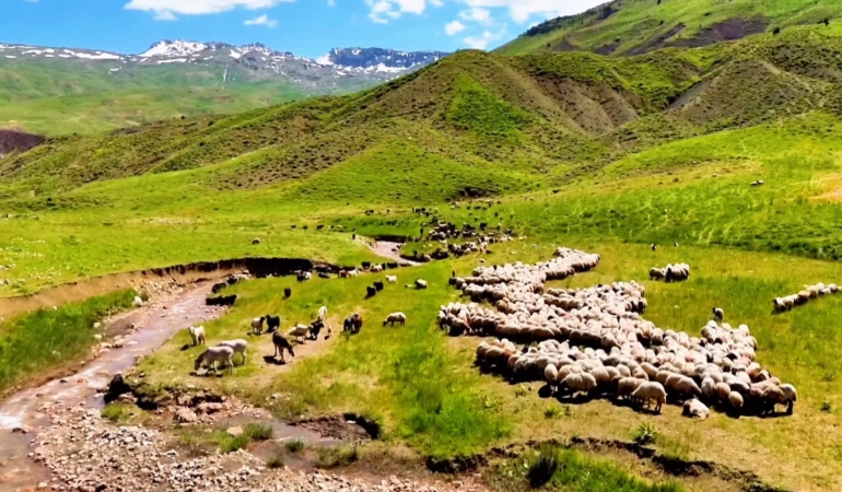 Ekran görüntüsü 2026-03-17 122952