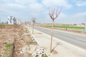 WhatsApp Image 2026-03-06 at 13.21.45